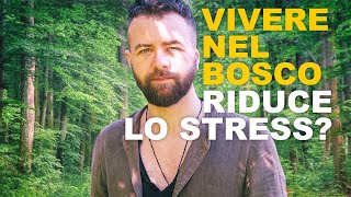 Dalla Città al Bosco: Ansia e Stress Migliorano?