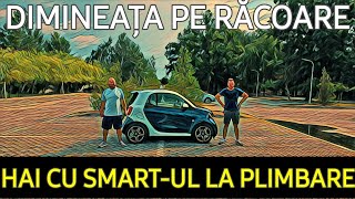 Are SMART-UL motor de Dacie ? sau de Mercedes ?