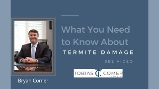 What You Need to Know About Termite Bonds and Termite Damage | Tobias & Comer Law