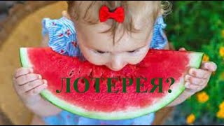 Нитратная лотерея  - правда или вымысел? Так ли опасны тошнота, рвота, после приятной трапезы?