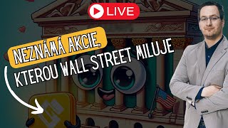 NEZNÁMÁ AKCIE, KTEROU WALL STREET MILUJE