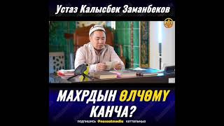 Махрдын олчому канча ?