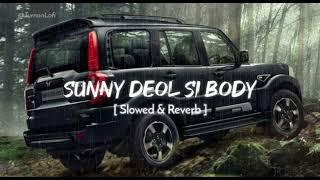 Sunny Deol Si Body [Slowed & Reverb] (Mr. A.M.T LoFi)