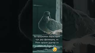 #падар #зиндаги #модар #фарзанд #гариби