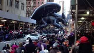 Toothless Parade  NYC