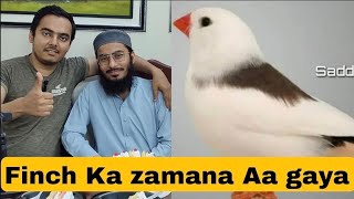 Finch Ka zamana Aa gaya | ZEBRA FINCHES | AHSAN PETs