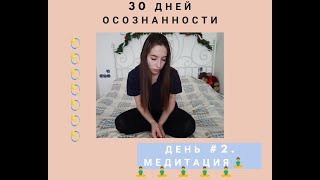 Vlog # 2\ Медитация\Мою собак \Звонил работодатель. 30 дней осознанности.