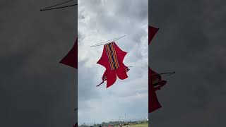 Sangging kite festival - penurunan layangan beban dewasa #layangan #bebean #shorts