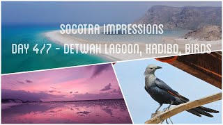 Impressions from Socotra - Day 4 of 7 - Detwah Lagoon and Hadibo