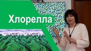 Хлорелла