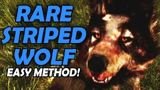 Far Cry Primal | Rare Striped Wolf Easy Method (Normal Mode)