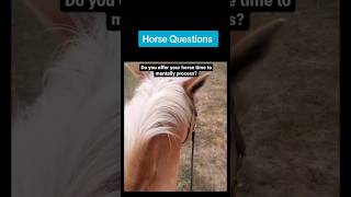 Horse Behavior Questions #alternativehorsemanship