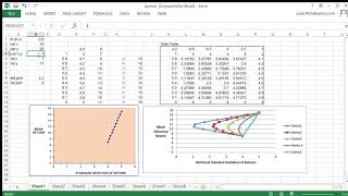 Paul portfolio theory 6