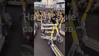 Нашествие самокатов Санкт-Петербург