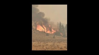 Outpouring of Support for Ranchers Affected by Wildfires