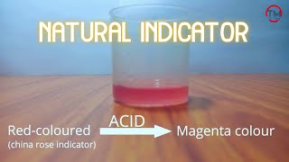 Natural Indicator | Easy experiment to do at home