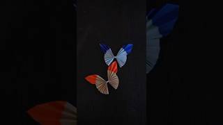 How to make butterfly 🦋 with paper easy | Cute paper butterfly #papercraft #shorts #butterfly