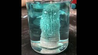 ||Redox Réaction||Cu Wire undergoes Redox Reaction with silver Nitrate solution|SAISHMA'S EduZone-3|