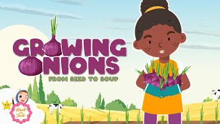 Growing Green Onions to Soup | Islamic Cartoon for Kids