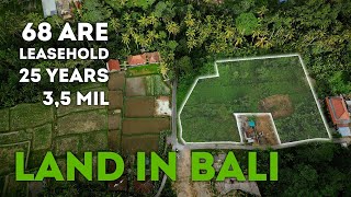 Land in Bali. Lot 0008 Ubud 68 ares. Leasehold. | Земля на Бали. Лот 8.  Убуд 68 соток. Лизхолд.