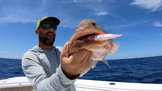 Slow pitch jig Grouper in the Gulf of Mexico (bait vs jig challenge 2)