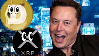 XRP and Dogecoin Supporters Intrigued By Elon Musk's Tweet