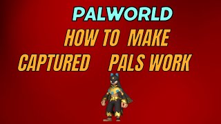 Palworld showing how to make own  pals in team work