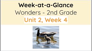 Unit 2, Week 4 - Wonders 2nd Grade - Week at a Glance