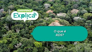 O que é RDS? - Greenpeace Explica