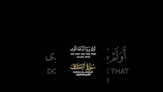 #سورة _الأحقاف #القرآن_الكريم #راحة_نفسية #راحه_للقلب #اكسبلور_فولو #اكسبلور #shortsvideo