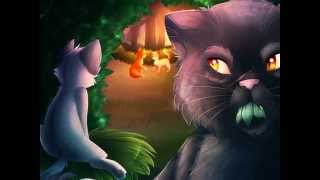 Warrior Cats Cinderpelt: What Hurts the Most