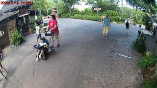 Walking around Disney Animal Kingdom during the covid-19 pandemic