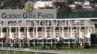 2015 Alcatraz Stakes at Golden Gate Fields