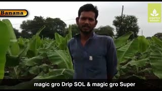 Meet with Jitendra Uttam Rajput - Banana Farmer from Vavadada, Jalgaon