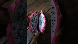 আমার শরীর খারাপ এর জন্ন Lemon yellow ড্রাগন ফল টা খেলাম #dragonfruit