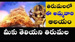 తిరుమలలో ఈ అమ్మవారి రహస్యాలు|unknown facts about tirumala\Facts About TIRUMALA\tirumala secrets news