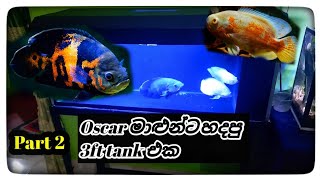 oscar මාළුන්ට හදපු අලුත් Tank Setup එක /3ft tank setup part 2/sl fish chathu