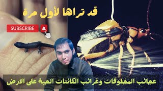 قد تراها لأول مرة عجائب المخلوقات وغرائب الكائنات الحية على الارض / امجد النظامى