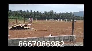 super investment house+14cent  framland for sale thudiyalur panneermadai #8667086982