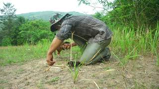 Amazing Unique Quick Wild Chicken Trap Using Hanuman Bottle With Wood - How To Trap Wild Chicken