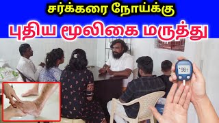 ஒரே ஒரு மண்டலம் #diabetes  | how to reduce diabetes | ayurvedic | herbal medicine | Namma MKG