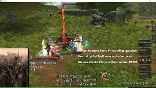 Lineage 2 Essence EU Maroon - Pet system & Beoro