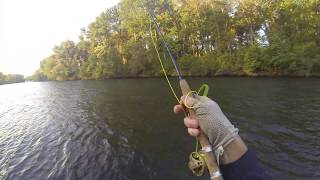 Losing a nice rainbow on a 2wt on the Yakima River