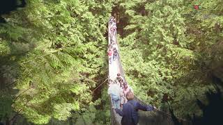 Lynn Canyon, Vancouver Guide - What to do, When to visit, How to reach, Cost  Tripspell