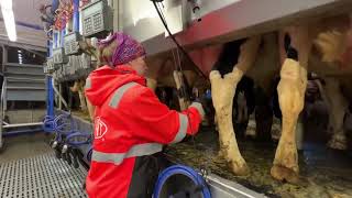 Pretty Girl Cleaning Manure on a Farm | Milking Cows