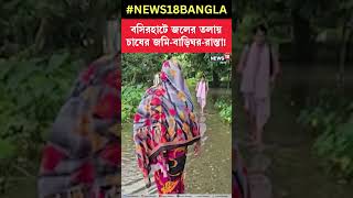 Basirhat এ জলের তলায় চাষের জমি বাড়িঘর রাস্তা! #shorts