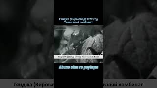 Гянджа Кировабад (1972 год) Тепличный комбинат #shorts