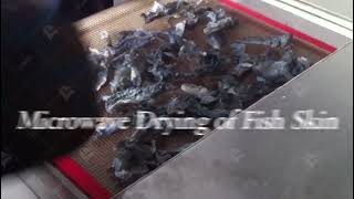 Microwave Drying Machine|Fish Skin Microwave Drying Machine| Microwave Drying Equipment For Food