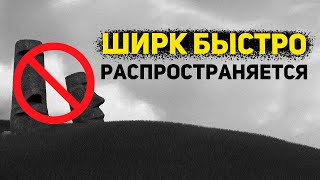 ШИРК БЫСТРО РАСПРОСТРАНЯЕТСЯ!