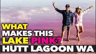 HUTT LAGOON | LUCKY BAY, KALBARRI | SNORKELING | HAVE YOU SEEN THIS PLACE?!